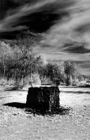 LANDART IM RIED, bei Wihelmsdorf