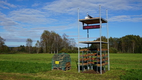 LANDNAHME, Wilhelmsdorf