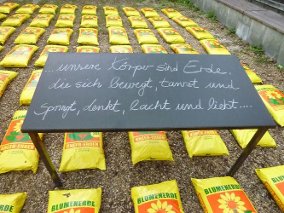 IM SCHLACHTHOFGARTEN, Sigmaringen