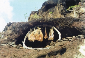 SIEBEN ORTE, La Gomera Spanien